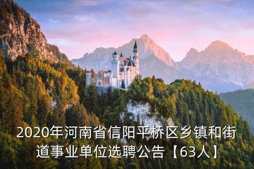 2020年河南省信陽平橋區(qū)鄉(xiāng)鎮(zhèn)和街道事業(yè)單位選聘公告【63人】