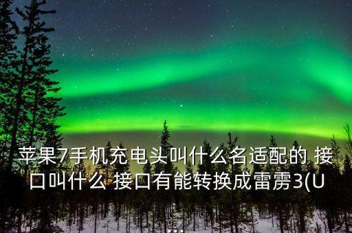 蘋果7手機充電頭叫什么名適配的 接口叫什么 接口有能轉換成雷靂3(U...
