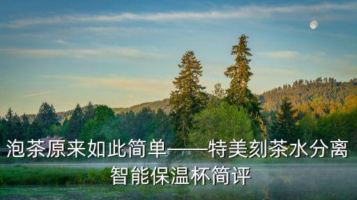 泡茶原來如此簡(jiǎn)單——特美刻茶水分離 智能保溫杯簡(jiǎn)評(píng)