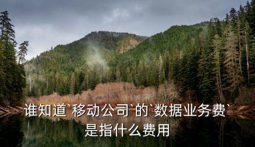 誰知道`移動公司`的`數(shù)據(jù)業(yè)務(wù)費(fèi)`是指什么費(fèi)用