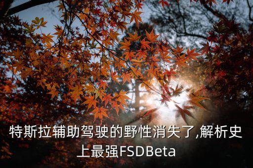 特斯拉輔助駕駛的野性消失了,解析史上最強(qiáng)FSDBeta
