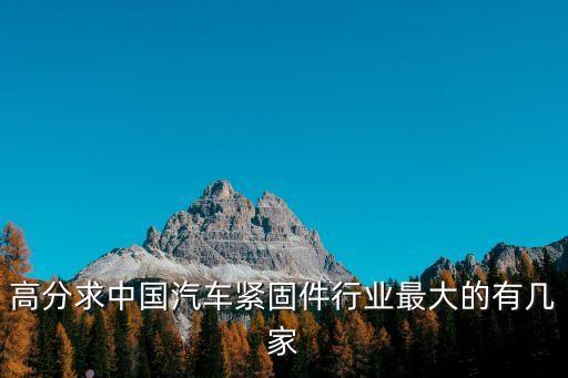 高分求中國(guó)汽車緊固件行業(yè)最大的有幾家