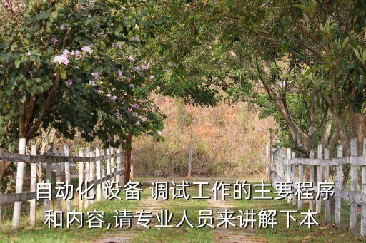  自動化 設(shè)備 調(diào)試工作的主要程序和內(nèi)容,請專業(yè)人員來講解下本