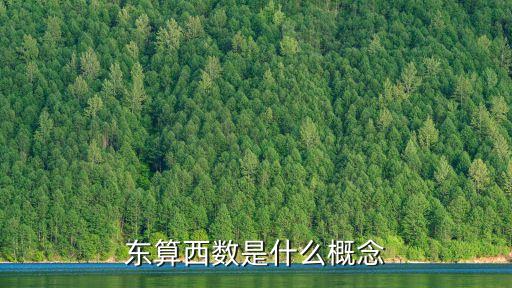 東算西數(shù)是什么概念