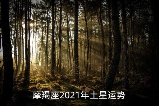 摩羯座2021年土星運(yùn)勢(shì)