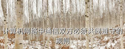 計(jì)算機(jī)網(wǎng)絡(luò)中通信雙方必須共同遵守的規(guī)則
