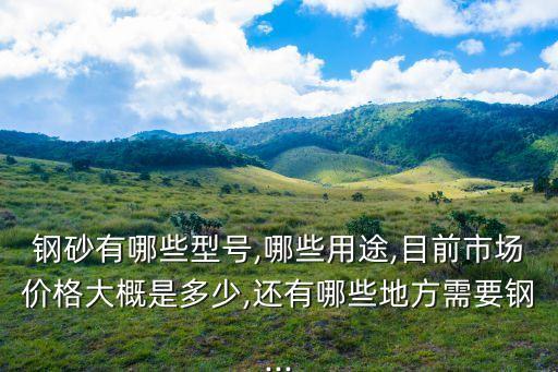 鋼砂有哪些型號(hào),哪些用途,目前市場價(jià)格大概是多少,還有哪些地方需要鋼...
