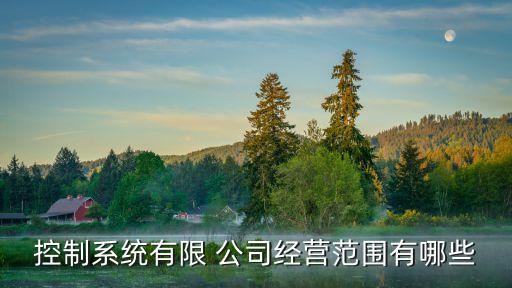控制系統(tǒng)有限 公司經(jīng)營范圍有哪些