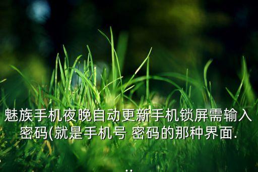 魅族手機(jī)夜晚自動(dòng)更新手機(jī)鎖屏需輸入密碼(就是手機(jī)號(hào) 密碼的那種界面...