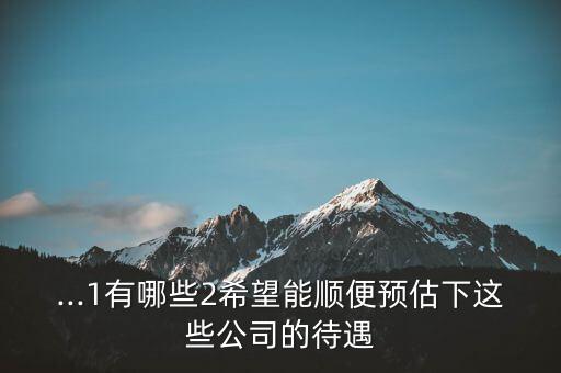 ...1有哪些2希望能順便預(yù)估下這些公司的待遇
