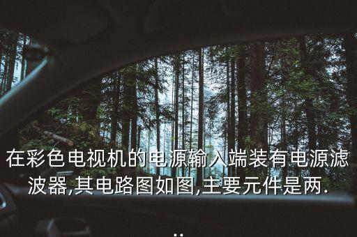 在彩色電視機的電源輸入端裝有電源濾波器,其電路圖如圖,主要元件是兩...