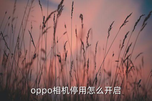 oppo相機(jī)停用怎么開(kāi)啟