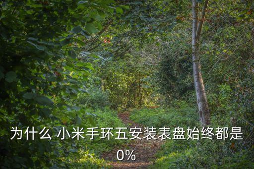 為什么 小米手環(huán)五安裝表盤始終都是0%