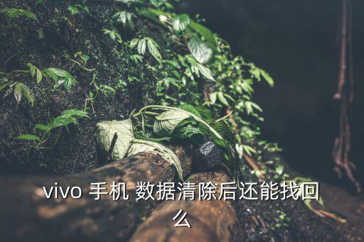 vivo 手機(jī) 數(shù)據(jù)清除后還能找回么
