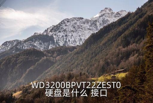 WD3200BPVT22ZEST0硬盤(pán)是什么 接口