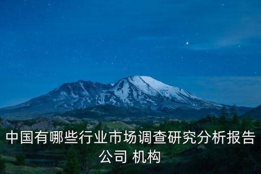 中國(guó)有哪些行業(yè)市場(chǎng)調(diào)查研究分析報(bào)告公司 機(jī)構(gòu)