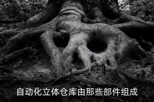 自動(dòng)化立體倉庫由那些部件組成