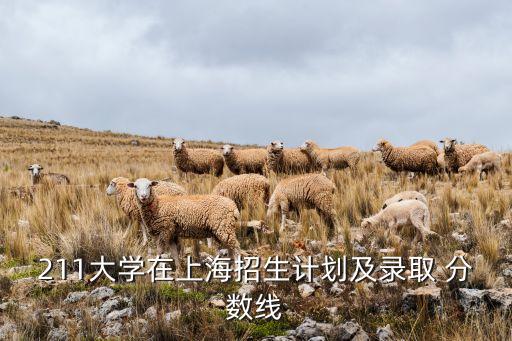 211大學(xué)在上海招生計(jì)劃及錄取 分?jǐn)?shù)線
