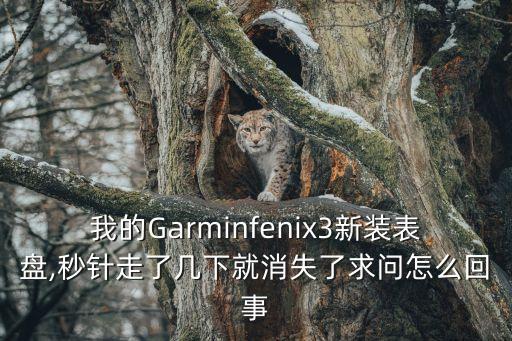 我的Garminfenix3新裝表盤,秒針走了幾下就消失了求問怎么回事