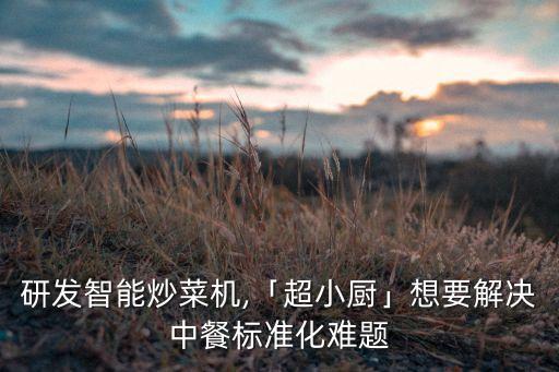 研發(fā)智能炒菜機(jī),「超小廚」想要解決中餐標(biāo)準(zhǔn)化難題