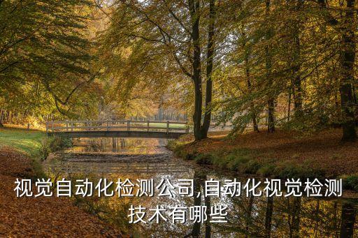 寧波視覺(jué)自動(dòng)化檢測(cè)公司,自動(dòng)化視覺(jué)檢測(cè)技術(shù)有哪些