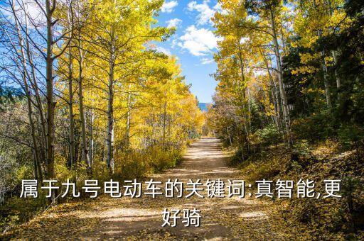 屬于九號電動車的關(guān)鍵詞:真智能,更好騎