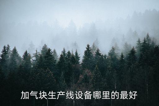 加氣磚自動化設(shè)備廠家直銷,加氣塊磚生產(chǎn)線有哪些?看這里!