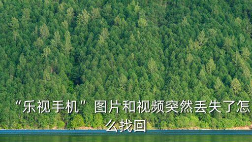 “樂視手機”圖片和視頻突然丟失了怎么找回
