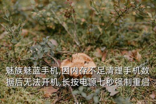 魅族安卓n不清數(shù)據(jù),安卓手機(jī)怎么清除數(shù)據(jù)?