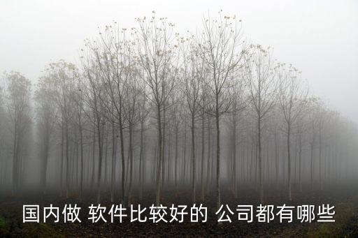 沈陽(yáng)自動(dòng)化軟件開(kāi)發(fā)公司,自動(dòng)化可以做軟件開(kāi)發(fā)嗎