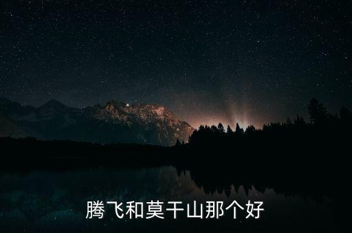 騰飛和莫干山那個(gè)好
