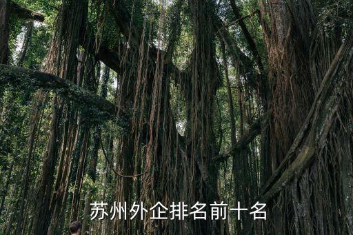 蘇州知名自動化公司,蘇州視覺自動化的公司