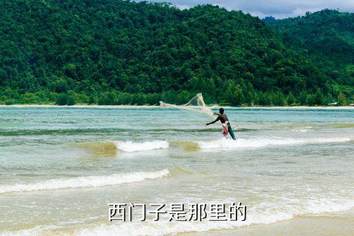 西門(mén)子是那里的