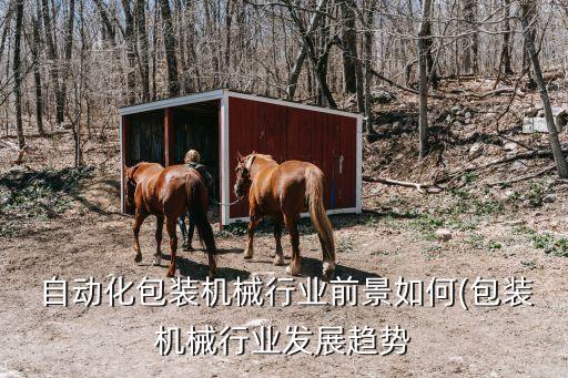  自動化包裝機械行業(yè)前景如何(包裝機械行業(yè)發(fā)展趨勢