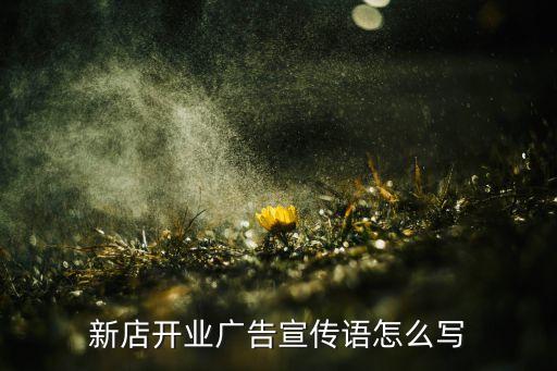 自動化公司開業(yè)宣傳單范本,湯店開業(yè)三天推出吃煲仔飯送例湯