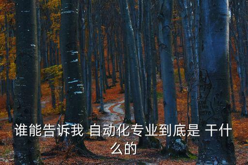 信息自動化是干什么的公司