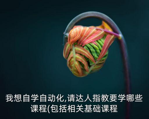 我想自學(xué)自動(dòng)化,請(qǐng)達(dá)人指教要學(xué)哪些課程(包括相關(guān)基礎(chǔ)課程