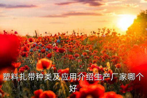 塑料扎帶種類及應(yīng)用介紹生產(chǎn)廠家哪個(gè)好