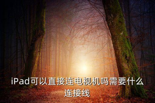 iPad可以直接連電視機(jī)嗎需要什么連接線