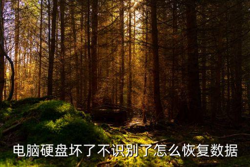 電腦硬盤壞了不識別了怎么恢復(fù)數(shù)據(jù)
