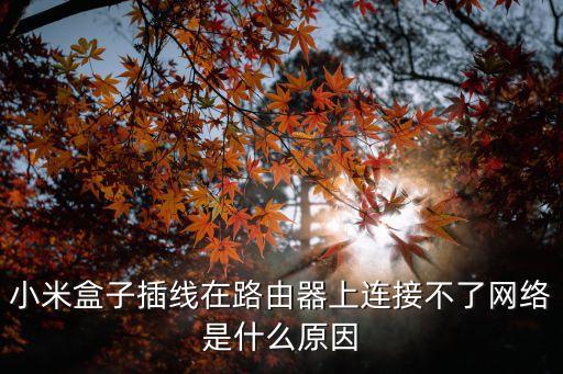 盒子網(wǎng),電視盒子需要聯(lián)網(wǎng)嗎?請教下，怎么做