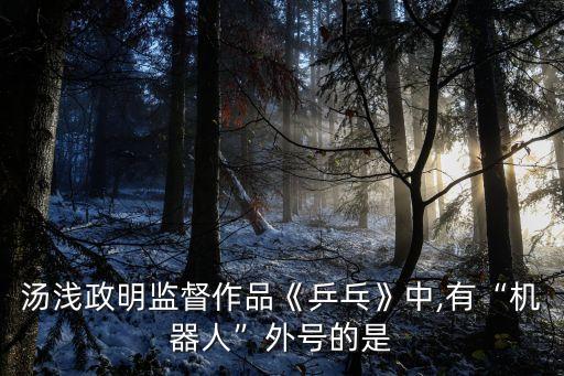 湯淺政明監(jiān)督作品《乒乓》中,有“機器人”外號的是