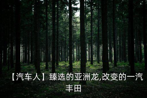 【汽車人】臻選的亞洲龍,改變的一汽豐田