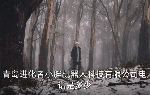 小胖機器人要多少,進化者機器人怎么樣?