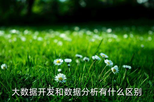 大數(shù)據(jù)開發(fā)和數(shù)據(jù)分析有什么區(qū)別