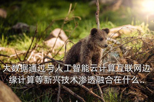 大數(shù)據(jù)通過與人工智能云計算互聯(lián)網邊緣計算等新興技術滲透融合在什么...