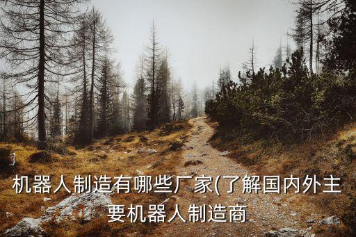 機(jī)器人制造有哪些廠家(了解國內(nèi)外主要機(jī)器人制造商