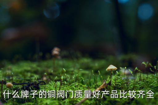 銅彎頭自動(dòng)化設(shè)備廠家排名,做彎頭的自動(dòng)化設(shè)備