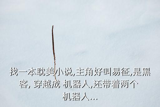 找一本耽美小說,主角好叫易征,是黑客, 穿越成 機器人,還帶著兩個 機器人...