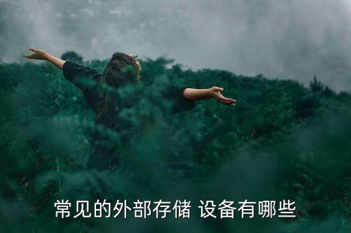 常見的外部存儲 設(shè)備有哪些